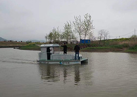 新奥2025新澳门原料网