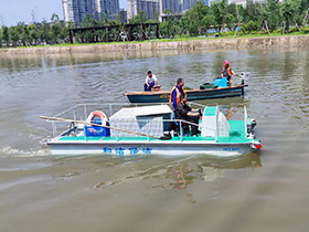 新奥2025新澳门原料网