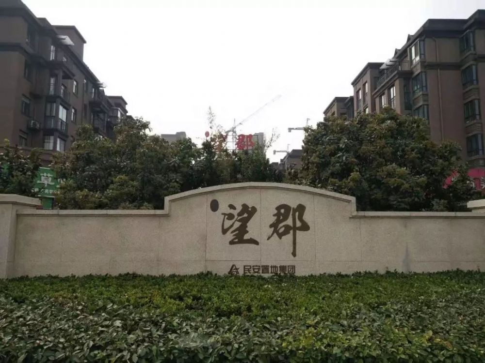 新奥2025新澳门原料网